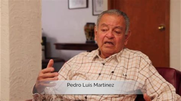 Pedro Luis Mart&iacute;nez Larriba